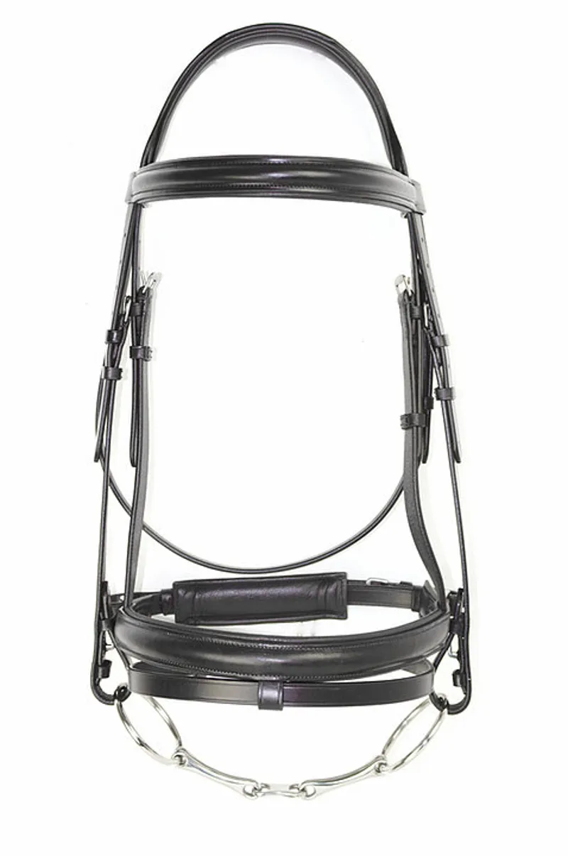 Dever Ascot Comfort Dressage Padded Bridle Black